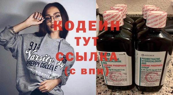 хмурый Нея