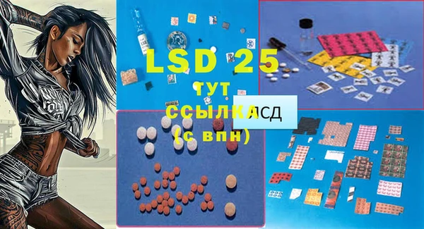 хмурый Нея