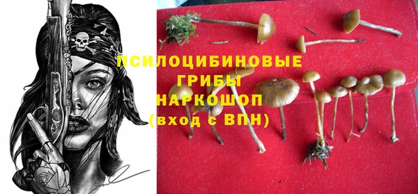 герыч Надым
