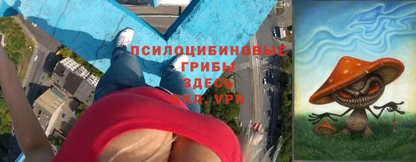 круглые Снежногорск
